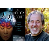 Bruce Lipton - Partner
